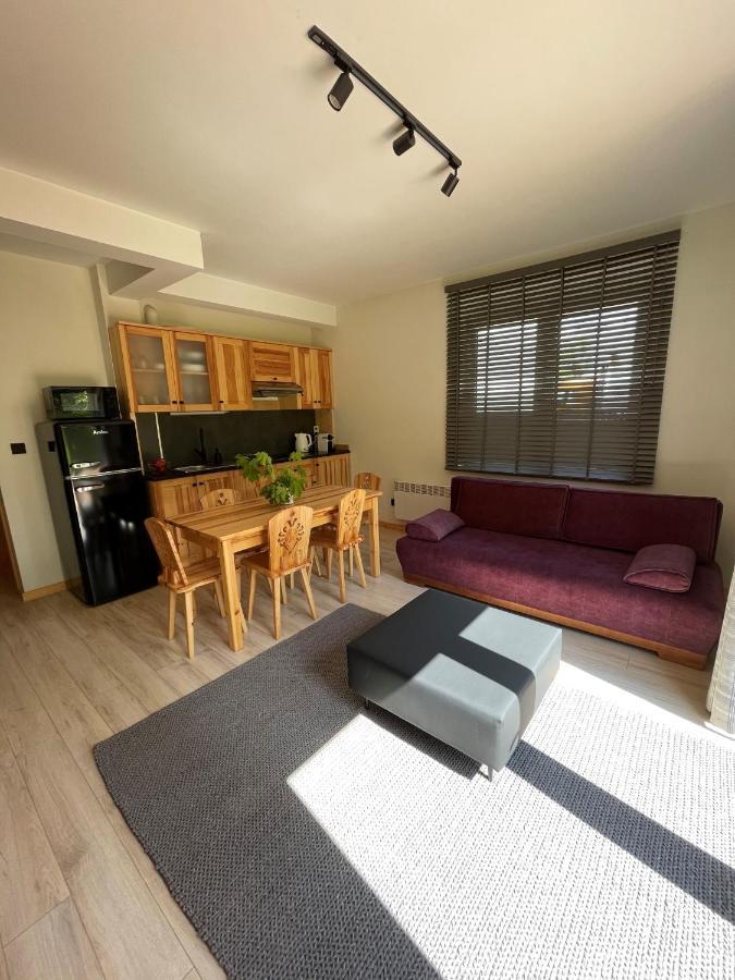 Apartament Zakopane Willa Hrube Parter Z Tarasem I Kominkiem 外观 照片