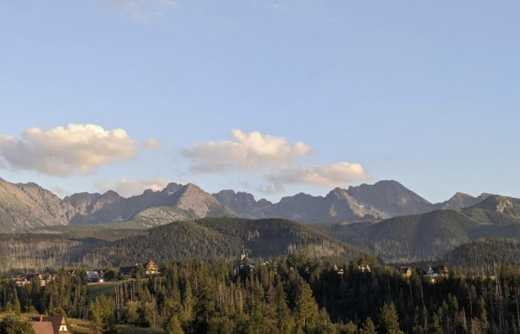 Apartament Zakopane Willa Hrube Parter Z Tarasem I Kominkiem 外观 照片